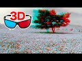 Anaglyph 3D Video 4 5 Million Nemophila Red Cyan Glasses