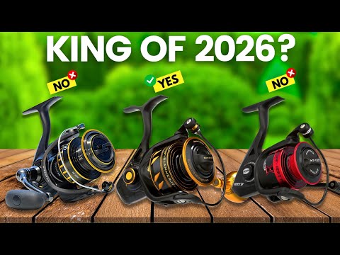 6 Best Saltwater Spinning Reels 2026