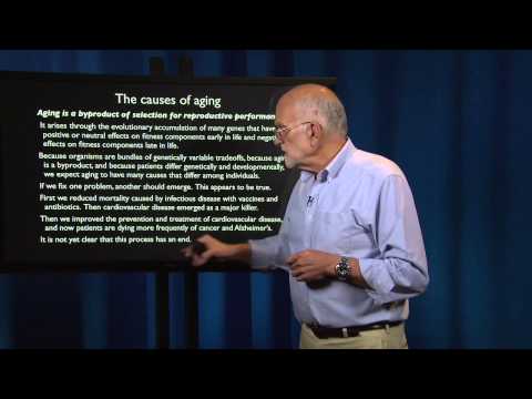 What is a Patient? Aging