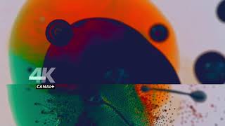 CANAL+ 4K Ultra HD - pętla nocna (od 2018)