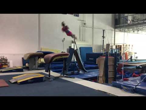 Yurchenko double twist