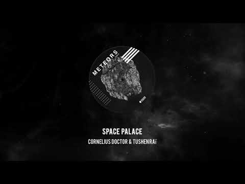 LR073 Cornelius Doctor & Tushen Raï "Space Palace"