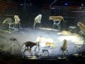 Madison Square Garden Circus Part 1