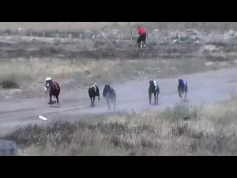 SEMIFINAL 500 M. IMPORTADOS - LA VILLA DE DON FADRIQUE - 01-07-2018