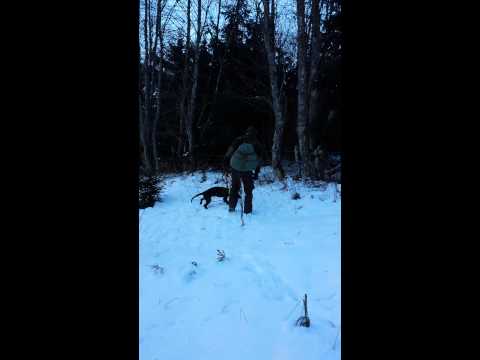 Capo vom Bodinggraben