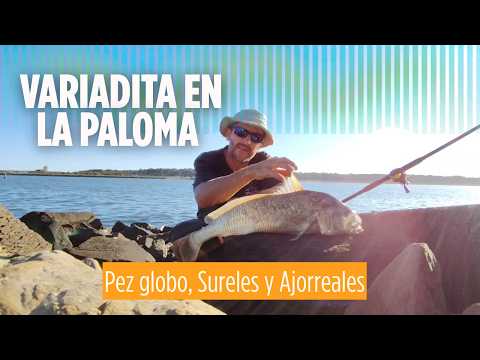 Pesca variada en La Paloma