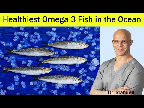 , title : 'Heart Healthy/Prevent Clogged Arteries...BEST Omega 3 Fish in the Ocean - Dr Mandell'
