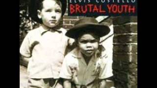 Elvis Costello - 20 % Amnesia