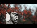 Melody Gardot - The Rain