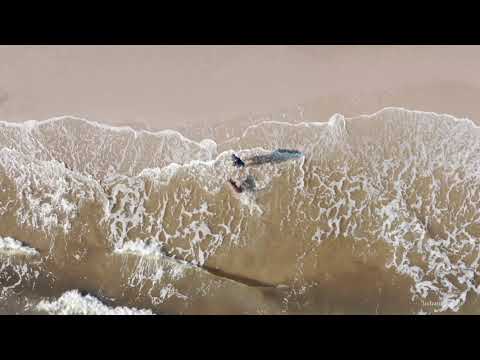 SHOWREEL: INDRANIL KISHOR