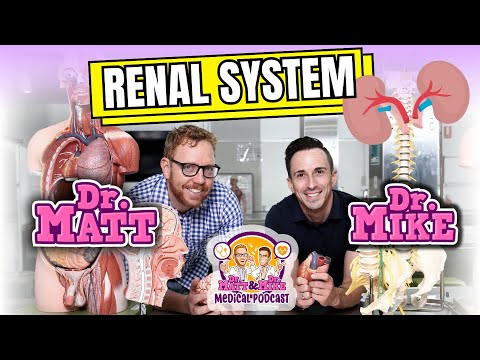 Renal System | Overview