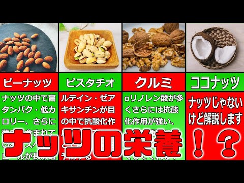 青緑色のとげのあるナッツ 植物