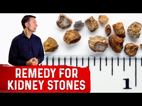 The Top SUPERFOODS for the Kidneys—Explained by Dr Berg