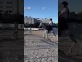 Caballo de salto en venta