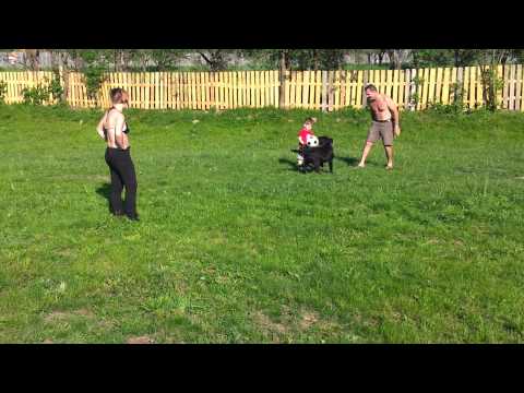 Pensiunea Victoria Valea Draganului