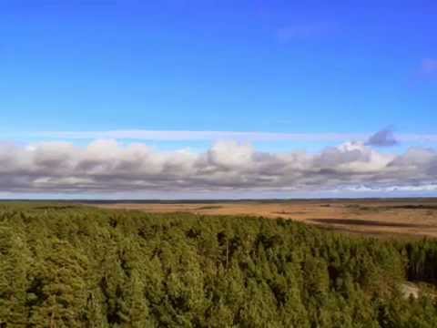 Häädemeeste serenaad