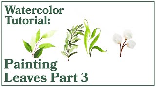 Watercolor Tutorial | Paint Simple Leaves Step by Step PART 3 (Garden, Rosemary, Tulip, Eucalyptus)