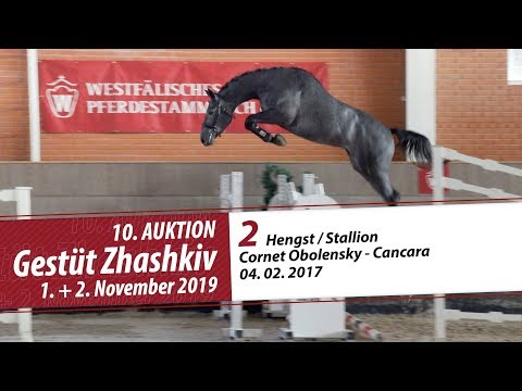 02 Hengst / Stallion v. Cornet Obolensky - Cancara