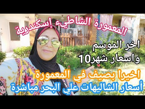 Alexandria, Maamoura Beach, chalet from the owner, and I'm spending my summer there. The best cha...