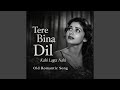 Tere Bina Dil Kahi Lagta Nahi