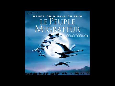 Bruno Coulais - Le Retour Des Grues (The Return of Cranes)