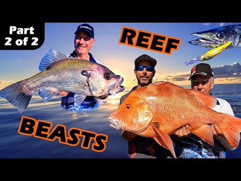 Reef Beasts Part 2 | Big Reds, Pearl Perch, Spanish Mackerel | Fraser Island