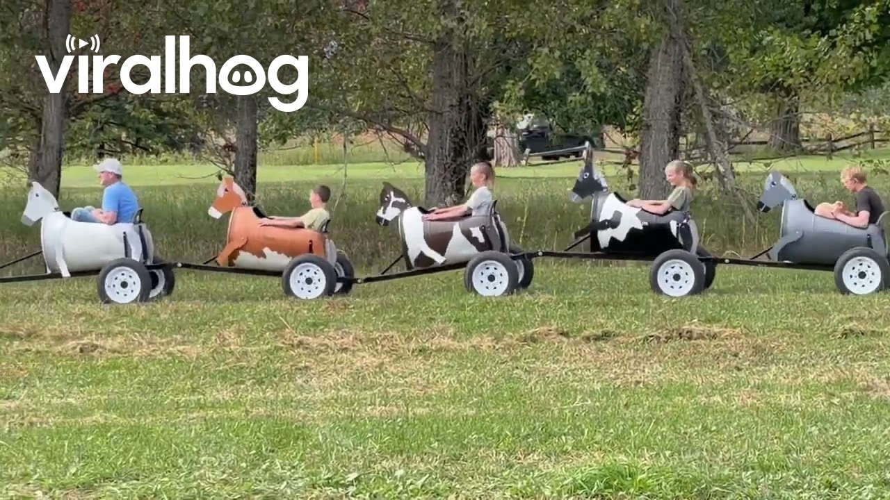 Bucking Horse Train Delights Children || ViralHog