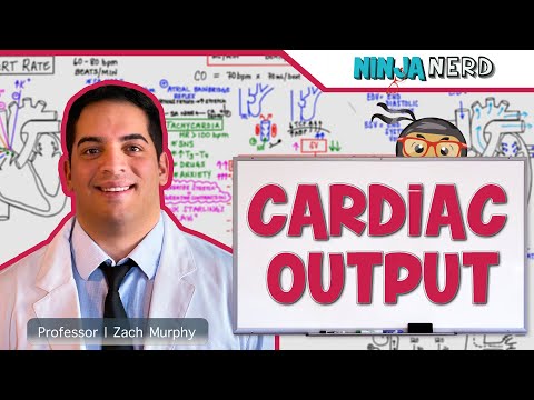 Cardiovascular | Cardiac Output Video