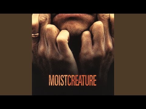Disco Days - Moist