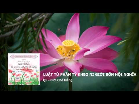 Q5 - Giới Chê Mắng