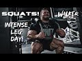 Nick Walker | HITTING SQUATS! | INTENSE LEG DAY!