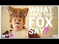 Ylvis The Fox (What Does the Fox Say?) video in ...