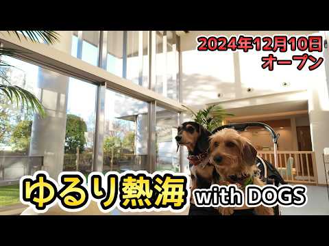 YouTube動画を再生