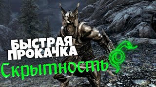 Как быстро прокачать скрытность в skyrim!?Несколько способов прокачки скратности в скайриме!!!
