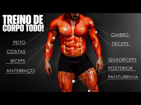 Treine o CORPO INTEIRO e ganhe mais MÚSCULO (Ficha de Treino)