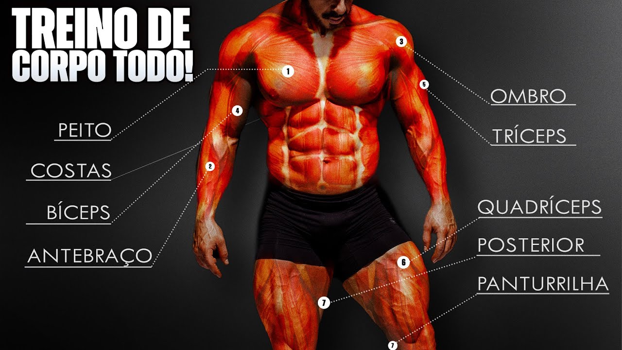Treine o CORPO INTEIRO e ganhe mais MÚSCULO (Ficha de Treino)
