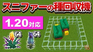 1.20対応【マイクラ統合版】超簡単！全自動トーチフラワー＆ウツボカズラの種回収機の作り方【PE/PS4/Switch/Xbox/Win10】ver1.20