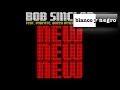 Bob Sinclar feat. Vybrate & Queen Ifrica & Makedah ...