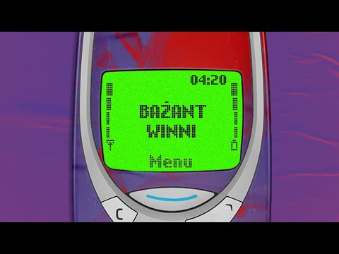 Bażant - Winni prod. Trooh Hippi (Video)
