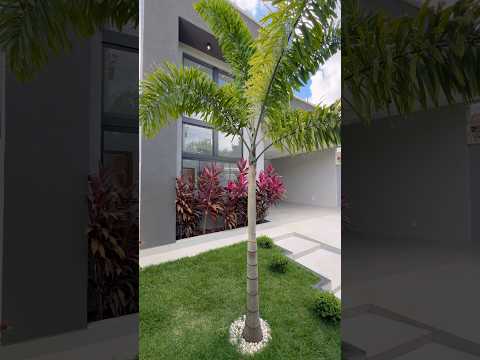 UMA CASA FANTÁSTICA ABAIXO DOS 900 MIL ?! ÁREA DE LAZER GIGANTE 😍 GOIÂNIA