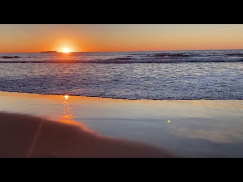 Tijuana Makes Me Happy