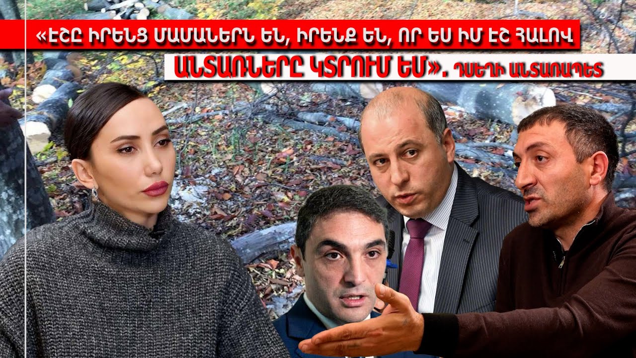 «Էշը իրենց մամաներն են, իրենք են, որ ես իմ էշ հալով անտառները կտրում եմ»․ Դսեղի անտառապետ