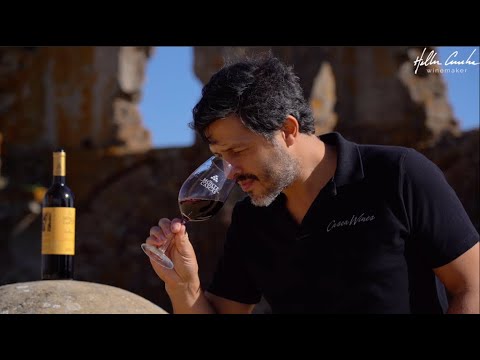 Na Terra do Vinho | DOC Alentejo | Hélder Cunha Winemaker - Powered by Casca Wines
