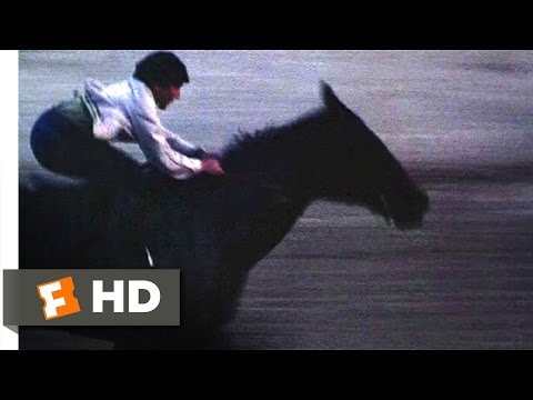 The Black Stallion (10/11) Movie CLIP - First Time at the Track (1979) HD