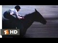 The Black Stallion 10 11 Movie CLIP First Time At The Track 1979 HD