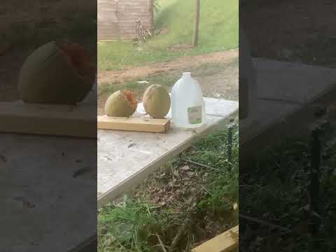 .45 auto +P |Speer Gold Dot VS Federal HST| Ballistics Gel Test