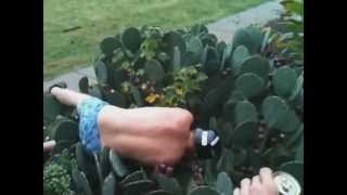 Cactus Jump Fail Compilation