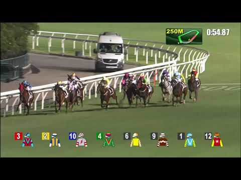 6/10/2021 (81) Sight Hero- H Bentley