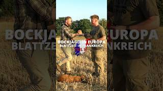 Bockjagd in Europa - Blattzeit in 🇫🇷 Teil 2! Ein @huntondemand Film