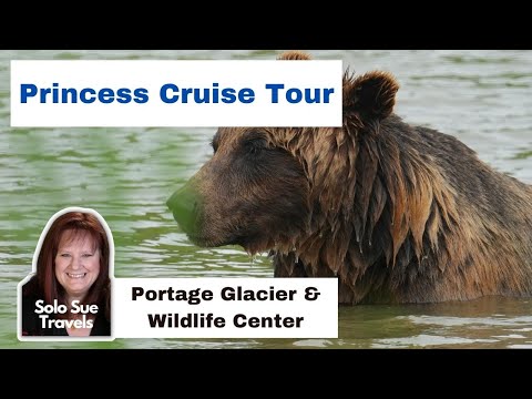 Portage Glacier & Wildlife Center | Grand Princess Alaska Cruise Tour | Solo Travel Vlog